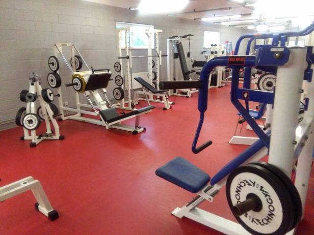 13569871_1156835471047165_2069655703_o